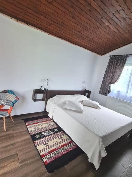 Cabana Bujor De Munte Rîşnov Dış mekan fotoğraf