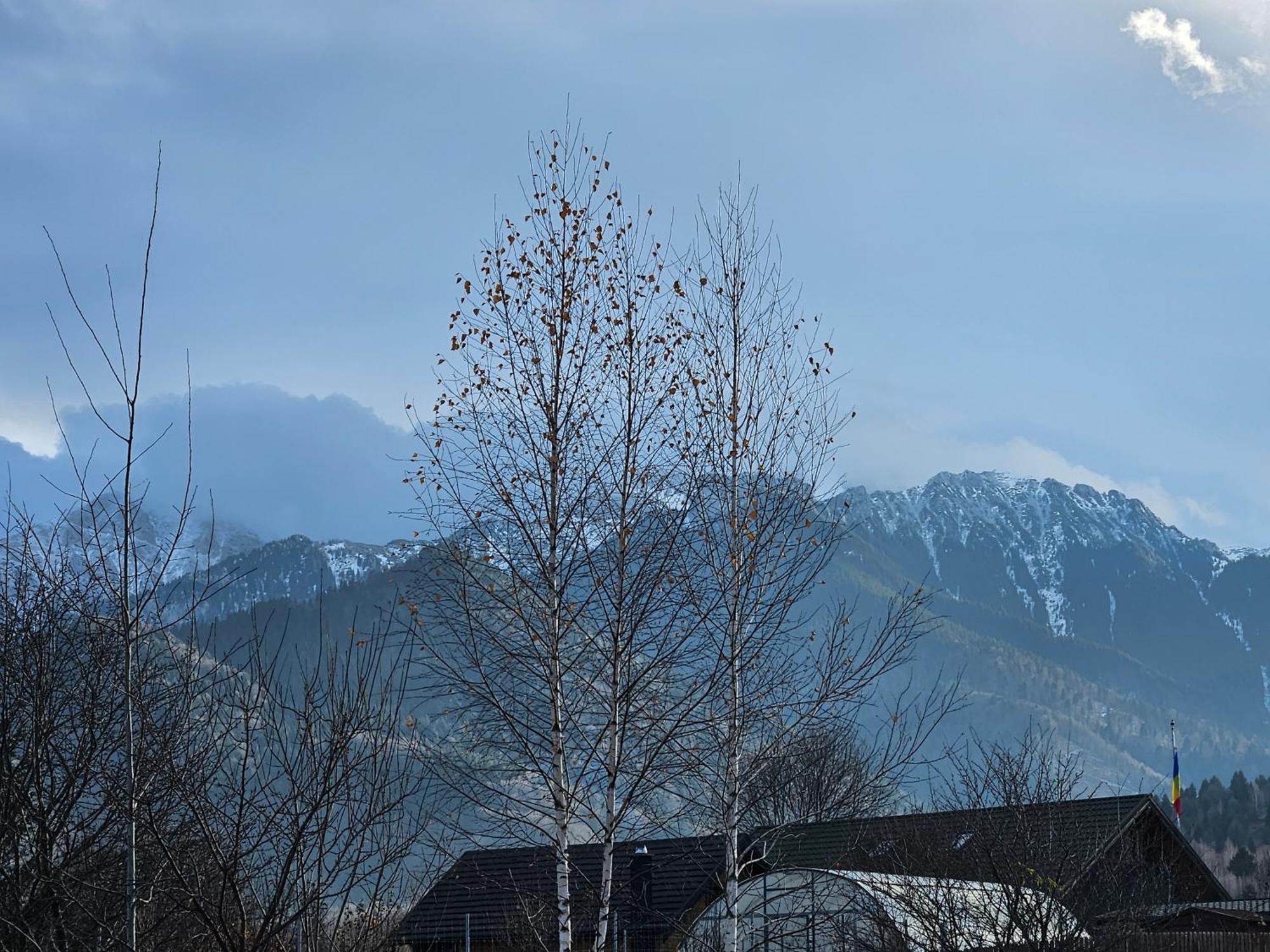 Cabana Bujor De Munte Rîşnov Dış mekan fotoğraf