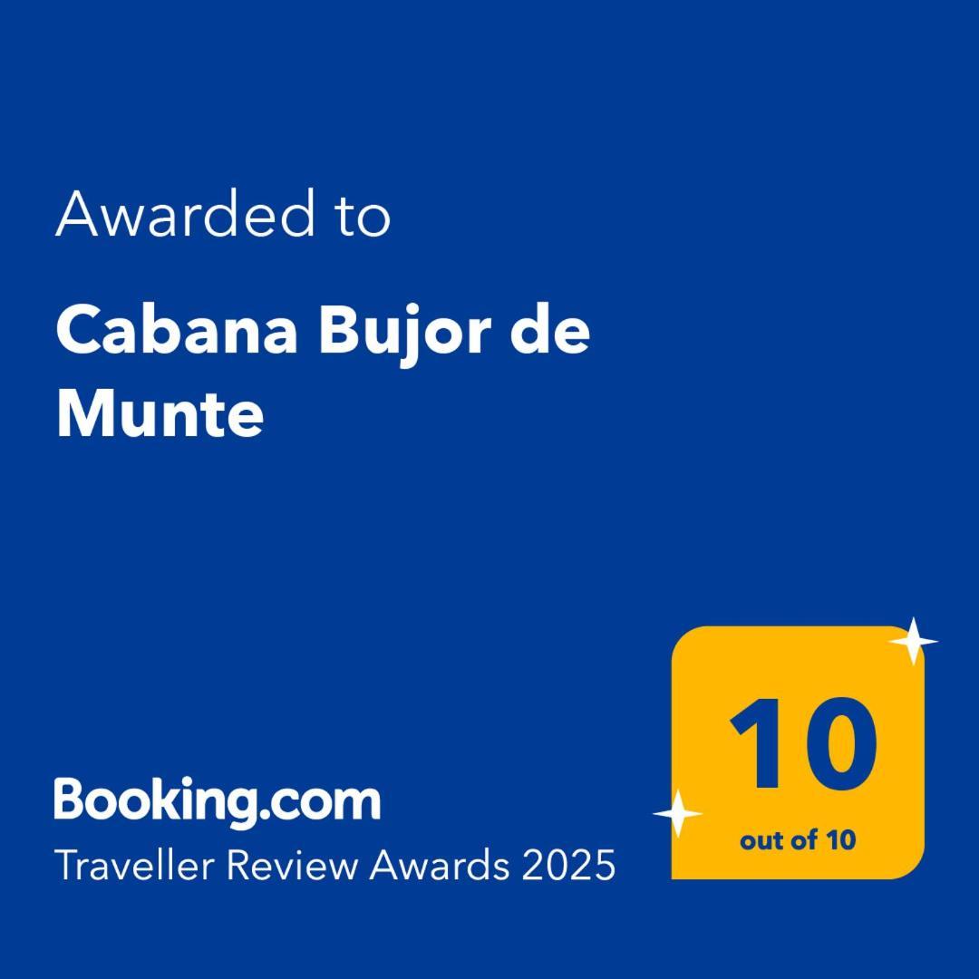 Cabana Bujor De Munte Rîşnov Dış mekan fotoğraf
